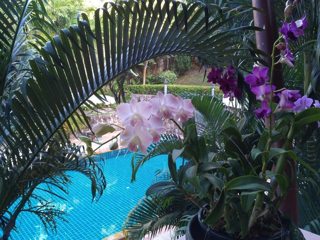 Inter House Otel Kata Plajı Dış mekan fotoğraf