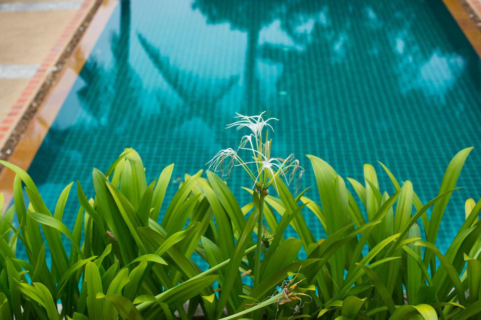 Inter House Otel Kata Plajı Dış mekan fotoğraf